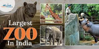Places to visit in Chennai in 1 day